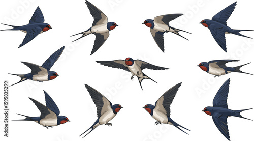 Flying swallow birds illustration, barn swallows in motion, cartoon style birds vector, migratory birds set, blue and white swallows isolated on white background