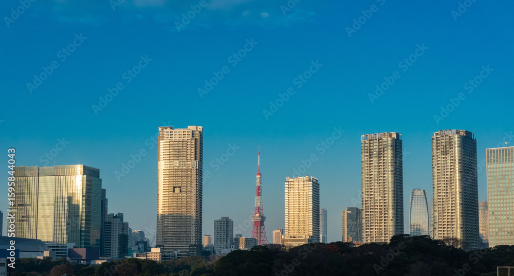 Fototapeta premium 東京勝鬨から見た東京タワー、勝鬨橋から見た浜離宮と東京タワー