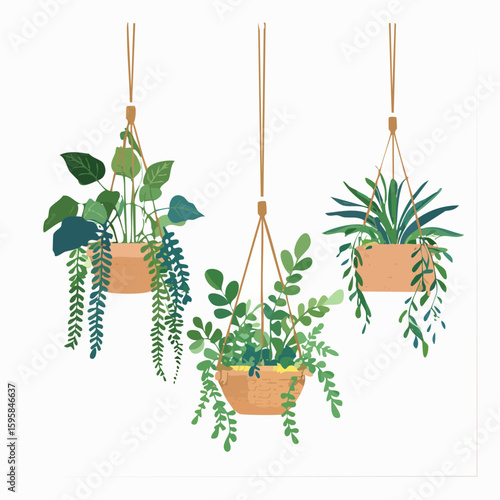 Three hanging potted plants with varied foliage and textures suspended by brown cords