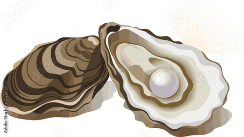 Fresh oyster with pearl, open oyster shell, natural sea shell, marine seafood delicacy, ocean pearl inside, mollusk shell closeup, fresh seafood illustration, luxury pearl concept, ocean treasures