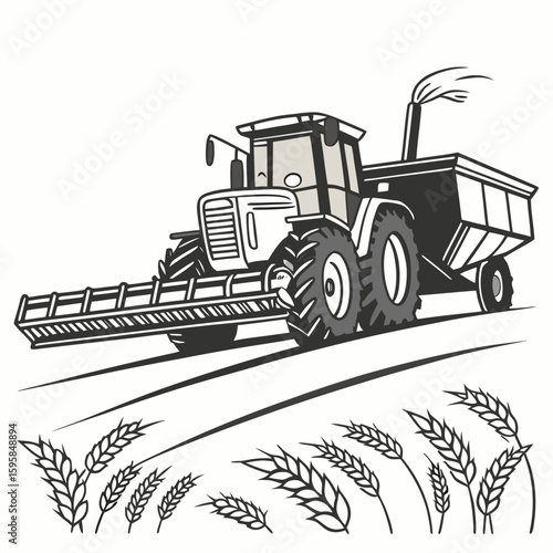 Agricultural tractor with harvesting trailer and wheat stalks harvester agriculture