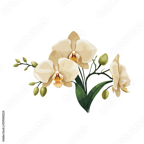 Whispers of Rarity — The Enchanted Orchid