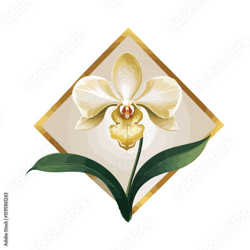 Whispers of Rarity — The Enchanted Orchid