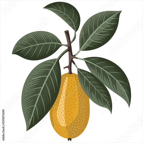 pear tree with leaves