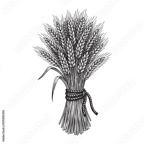 Rye bundle woodcut engraving vector illustration