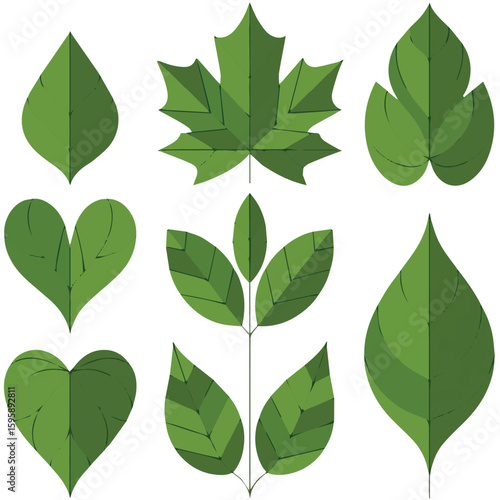 Collection of green leaf vector art illustration for nature botanical designs and organic product branding needs