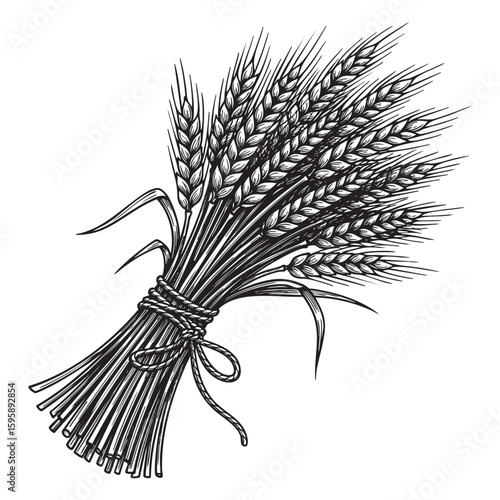 Rye bundle woodcut engraving vector illustration