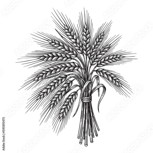 Rye bundle woodcut engraving vector illustration