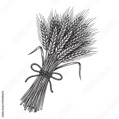 Rye bundle woodcut engraving vector illustration