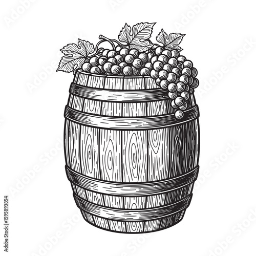 barrel with grapes woodcut engraving vector illustration