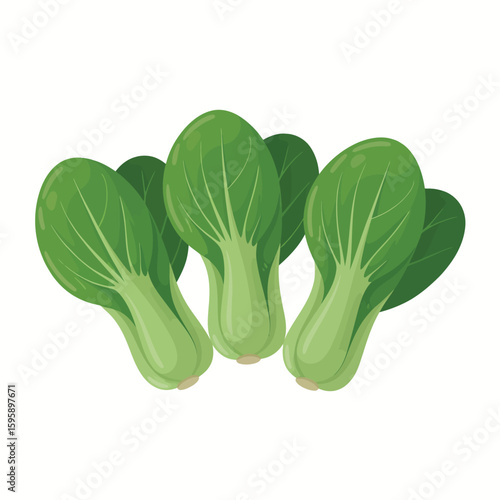 Fresh green bok choy vegetables on a white background
