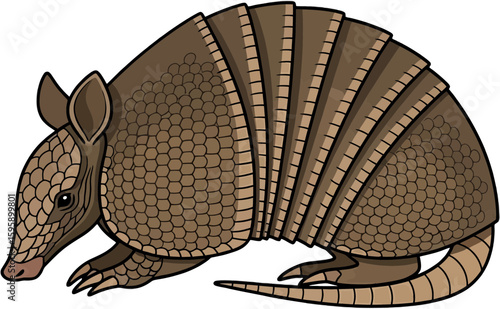 Colorful Armadillo Illustration Highlighting Unique Armored Shell and Natural Details
