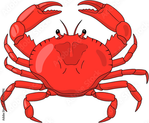 Vibrant Cartoon Illustration of a Red Crab with Raised Claws on White Background