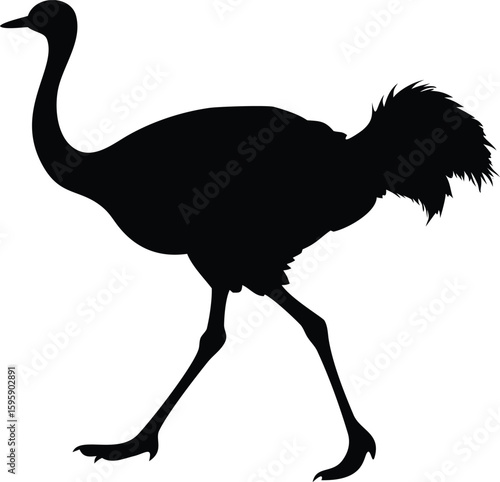 Ostrich Silhouette – Black Vector Illustration of a Running Flightless Bird