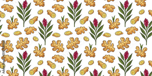 Seamless pattern of hand-drawn ginger root and ginger plant illustrations. Colorful and black-and-white sketches 