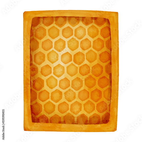 Honeycomb Frame Watercolor