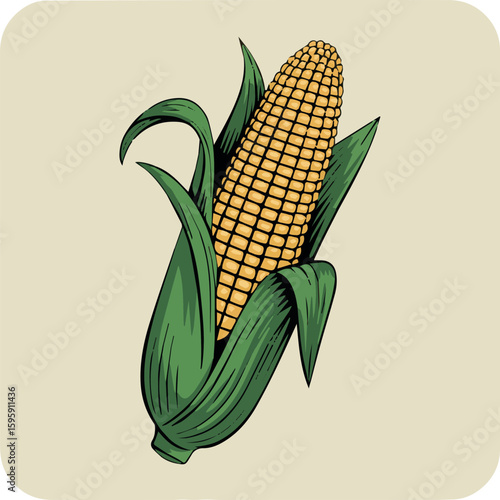 Illustration of fresh yellow corn on the cob with green leaves agriculture harvest food vector art