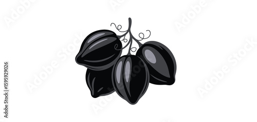Illustration of a cluster of dark purple elongated fruits on a vine