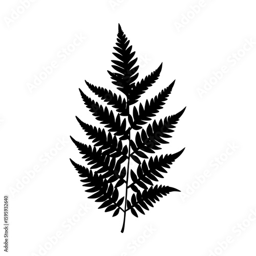 Botanical fern frond silhouette foliage nature plant vector art