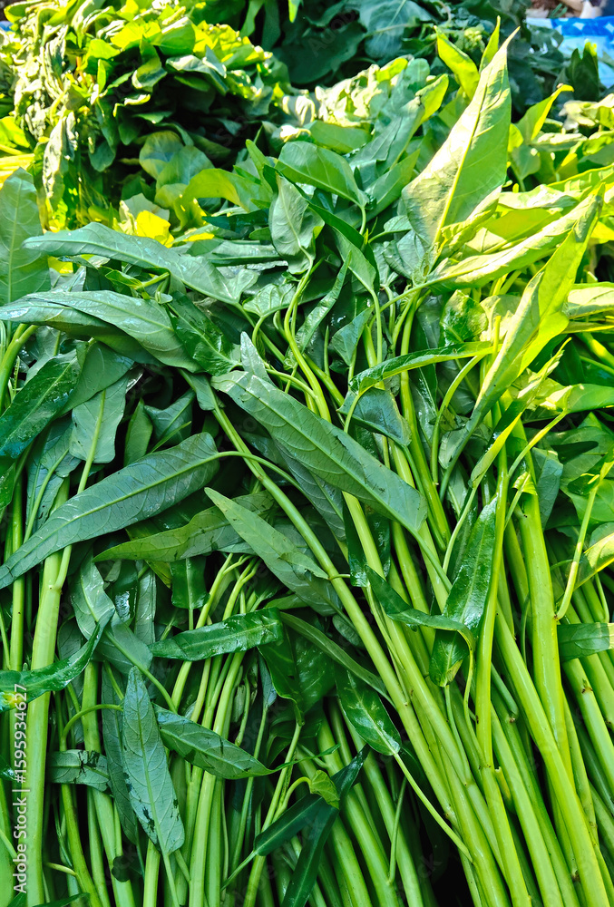 Obraz premium Fresh Water Spinach Vegetable Close-Up