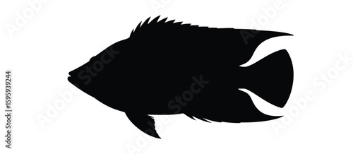 Silhouette of a tropical angelfish swimming in the ocean