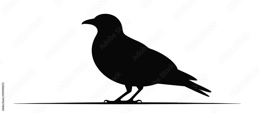 Obraz premium Silhouette of a pigeon standing on a thin line against a white background