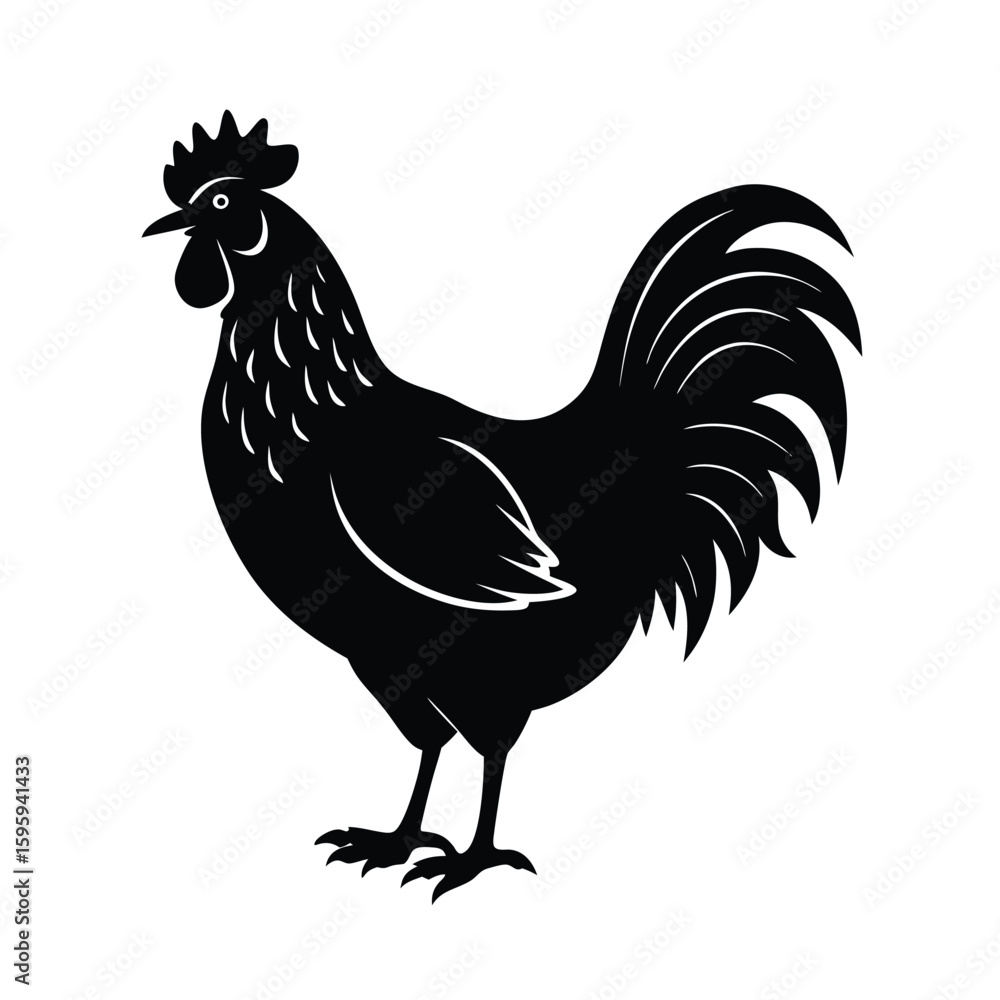Fototapeta premium rooster vector illustration