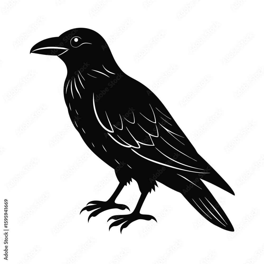Fototapeta premium raven bird vector illustration