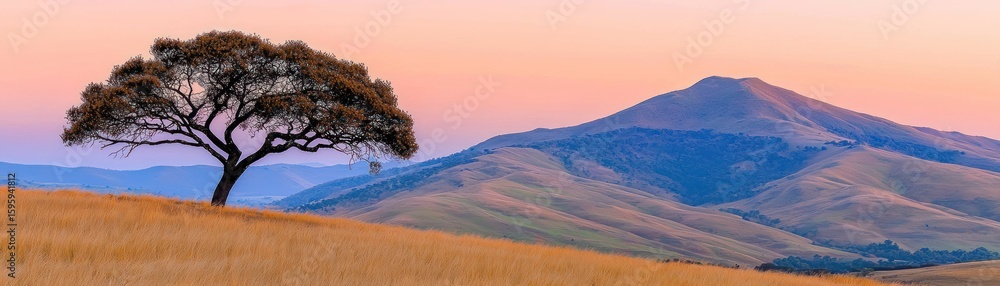 Fototapeta premium A beautiful large tree stands before a mountain at sunset