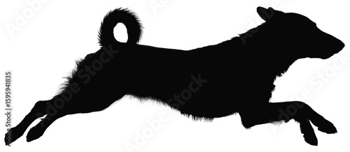 Silhouette of a happy dog leaping and running with its tail held high
