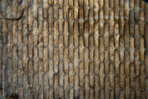 old rubber texture