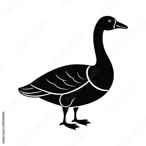 goose on white background