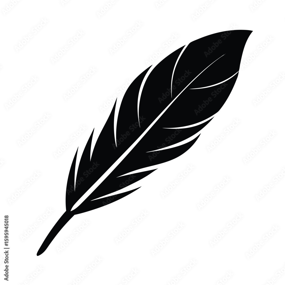 Obraz premium dove feather on white background