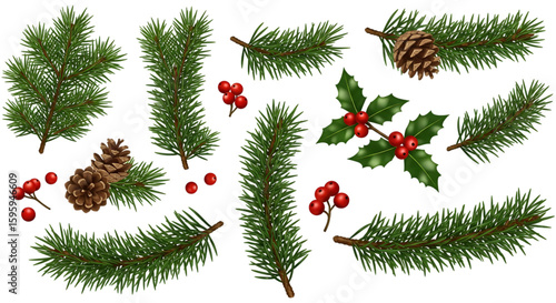 Collection of festive evergreen branches with pine cones and holly berries isolated on transparent background