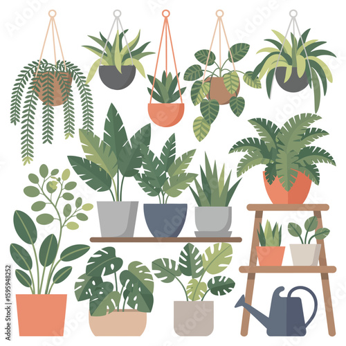 Collection of various houseplants in pots and hanging planters