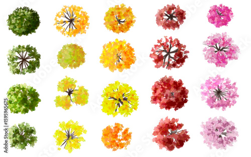 Vector set of yellow and green leaves, Top view ginkgo tree for outdoor plan or map in autumn,plant for environment or garden,watercolor botanical element for exterior layout