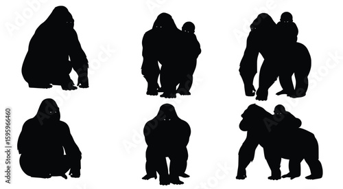 Silhouette of a gorilla in Various Poses: Striking black silhouettes of a gorilla capture diverse poses, a potent symbol of strength, mystery, and the primal connection to nature.