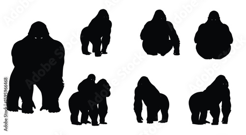 Gorilla Silhouettes: A series of striking gorilla silhouettes showcase the strength and majesty of these incredible primates. Various poses highlight their powerful build and captivating presence.