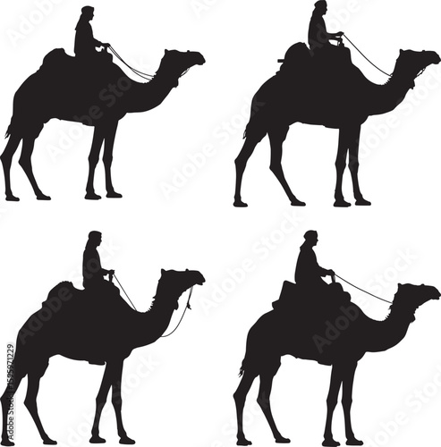 Four camel riders silhouette