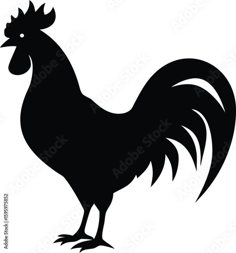 Silhouette of Rooster Bird with Prominent Tail and Comb Isolated on White Background

