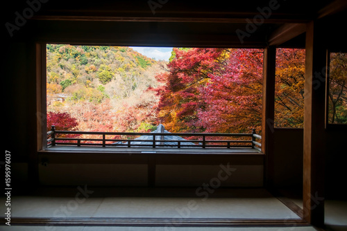 Konstfotografi autumn maple leaf color view from window of Rurikoin Temple, Kyoto