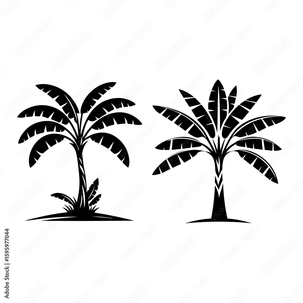 Obraz premium Banana tree vector on white background.