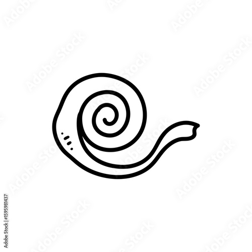 Umbilical Cord Spiral Shape for Pregnancy and Fetal Health