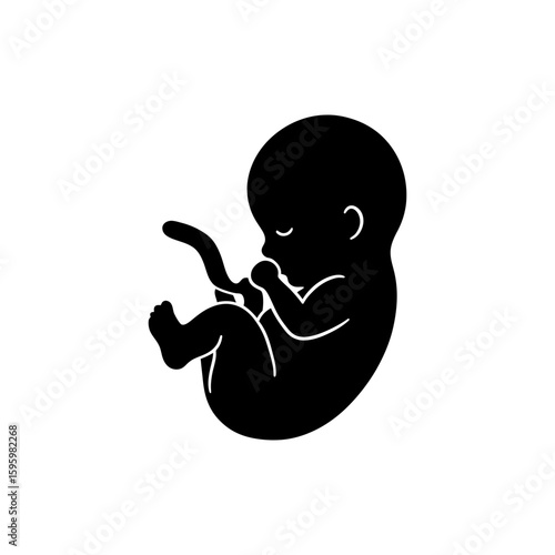 Fetus Side Silhouette in Womb for Pregnancy Stage