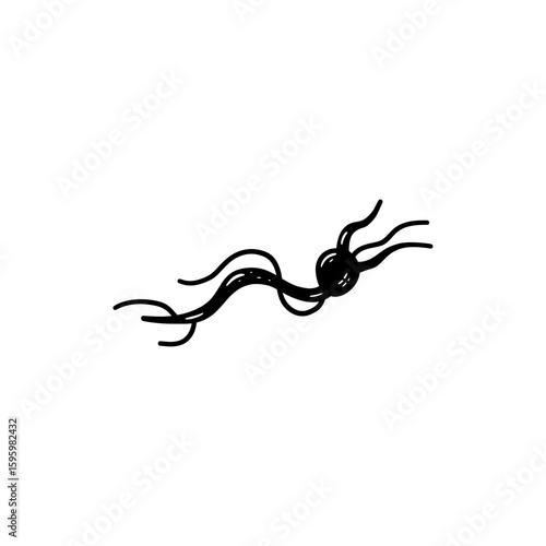 Axon with Long Tail Shape in Nerve Cell