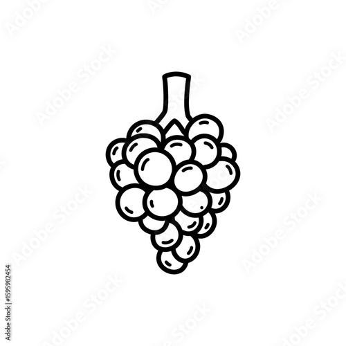 Anatomy of Alveoli as Grape-like Sacs for Lung Function and Oxygen Exchange