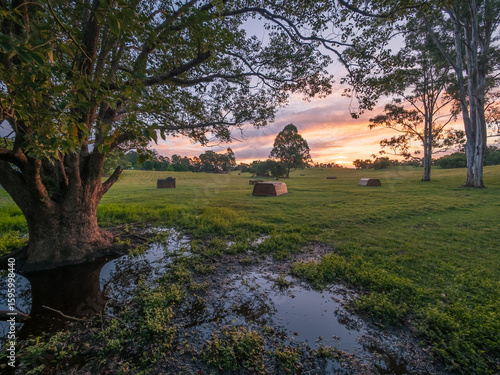 Podobny obraz