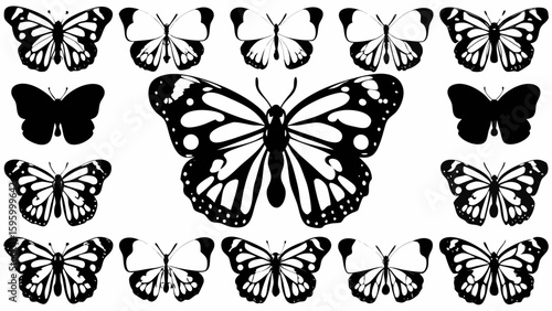 A collection of black and white butterfly illustrations with varying wing patterns and sizes displayed nicely