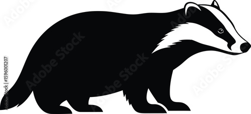Vector art of silhouette of a badger with distinctive stripes on white isolated on transparent background
