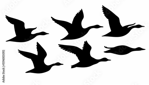 Silhouette illustration of a flock of ducks in flight against a white background in a simple style